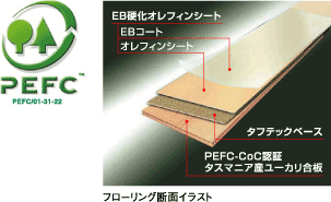地球環境に配慮したフローリング合板